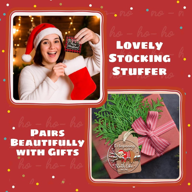 TEEBIM Sloth Ornament - Sloth Ornaments for Christmas Tree, Animal Ornaments - Animal Lovers Gifts for Women - Acrylic Christmas Ornament 2025 - Image 4